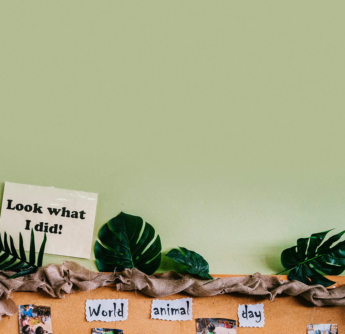 Parents' testimonials