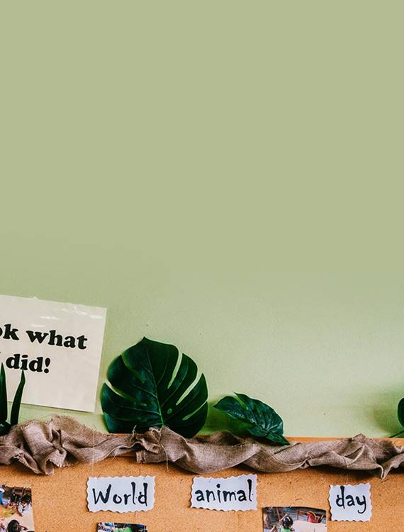 Άλλες Υπηρεσίες